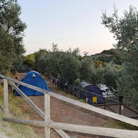 Blucamp Natural Village キャンプ場 カンピーリア・マリッティマ