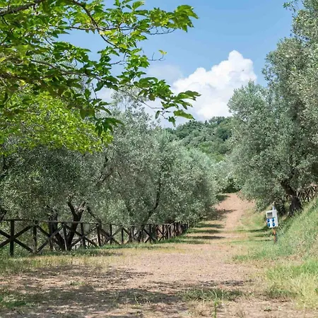 Κάμπινγκ Blucamp Natural Village *