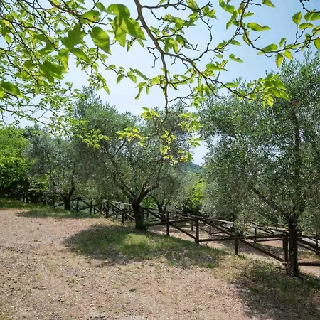Blucamp Natural Village Κάμπινγκ Campiglia Marittima