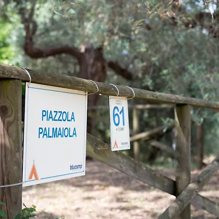 Blucamp Natural Village Campiglia Marittima
