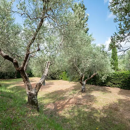 Κάμπινγκ Blucamp Natural Village