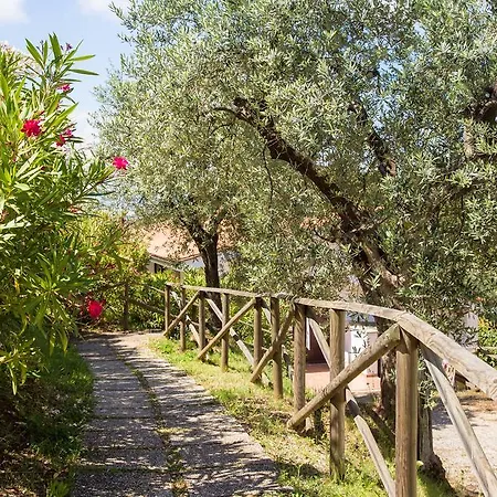 Κάμπινγκ Blucamp Natural Village *