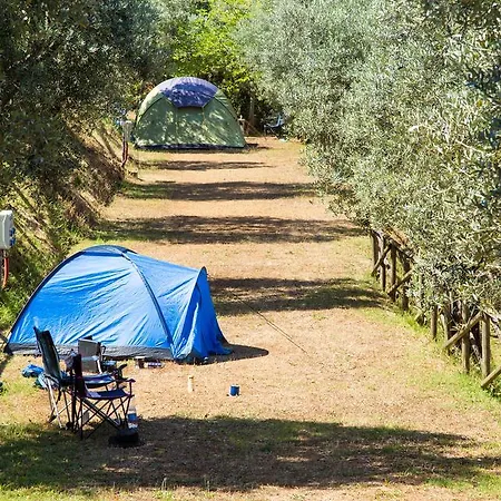 キャンプ場 Blucamp Natural Village