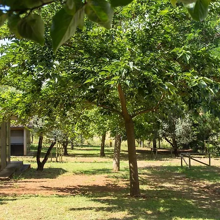 Κάμπινγκ Blucamp Natural Village *